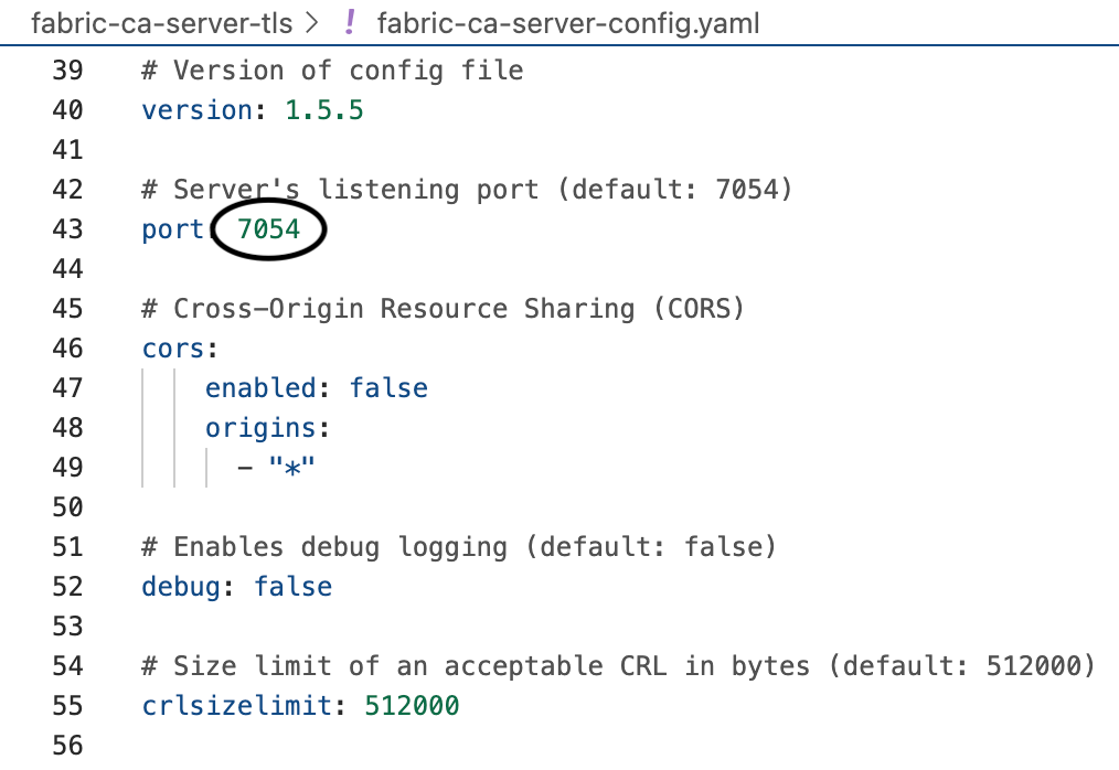 Set up the Certificate Authority Server (Public Key Infrastructure)