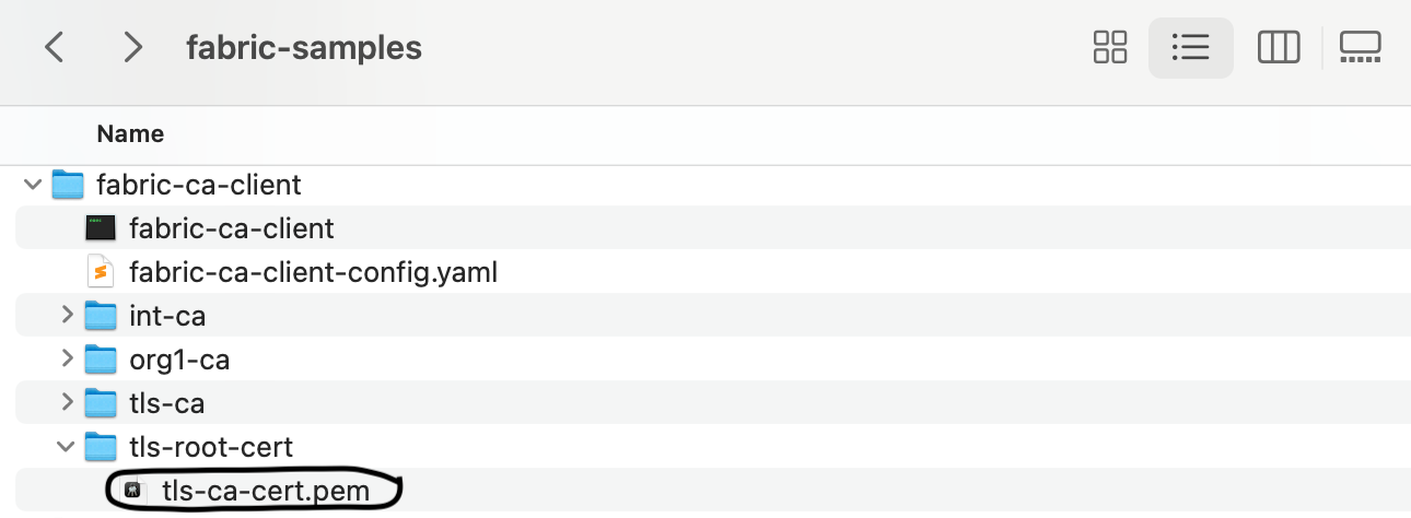 Set up the Certificate Authority Server (Public Key Infrastructure)