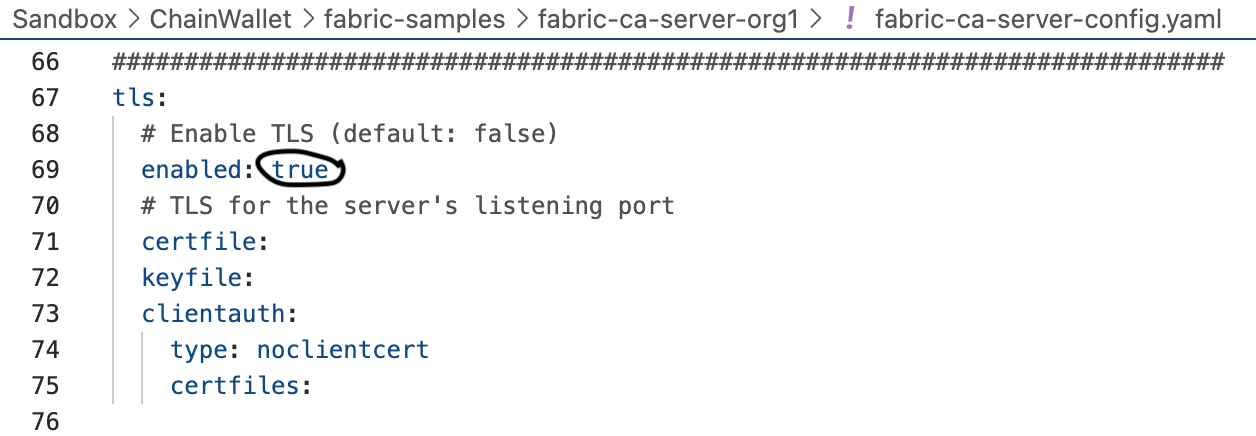 Set up the Certificate Authority Server (Public Key Infrastructure)