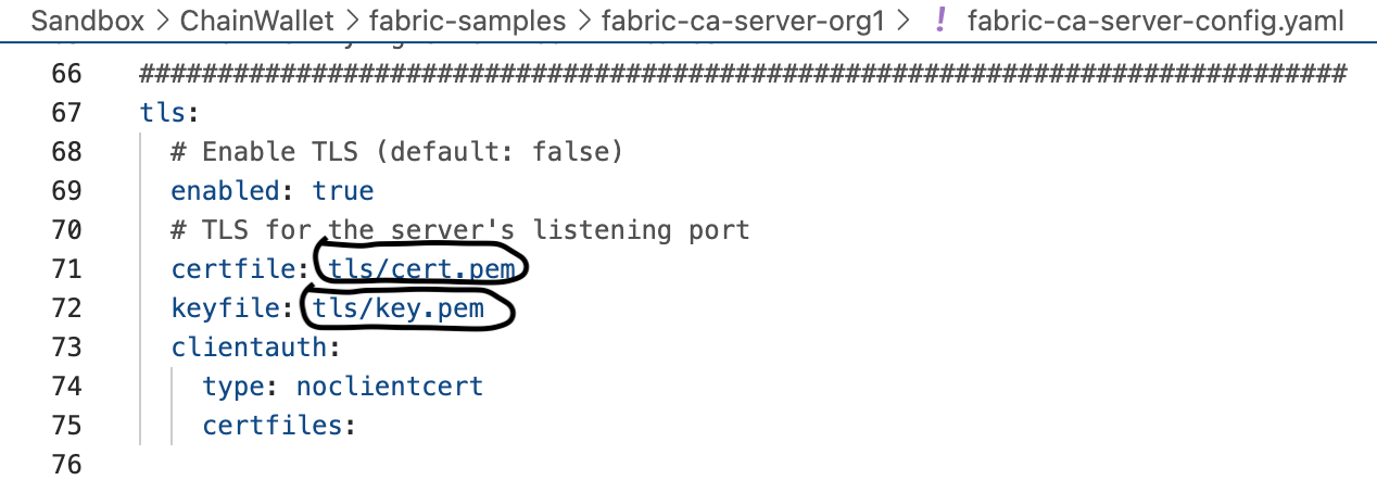 Set up the Certificate Authority Server (Public Key Infrastructure)