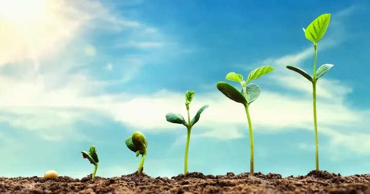 People Will Go Where They Can Grow